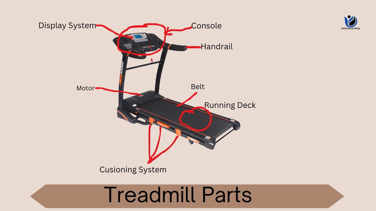Treadmill Parts