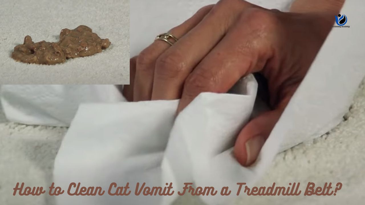How to Clean Cat Vomit From a Treadmill Belt